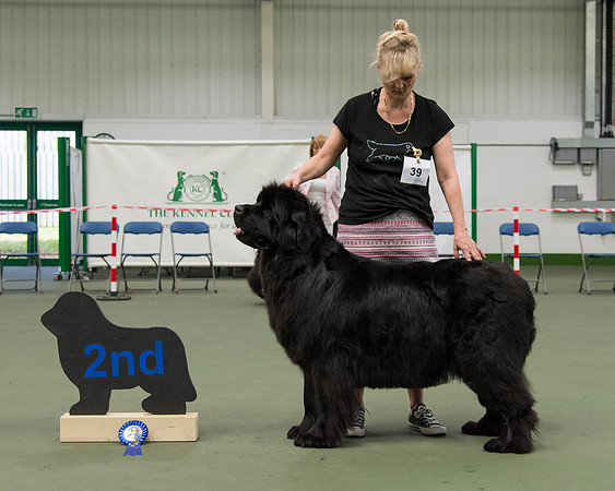 Dearchary Twist N'Shout