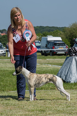 Aarminias Princess Of China at Bowdonia