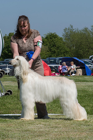 Khamis Snow Lepard with Moonshadow