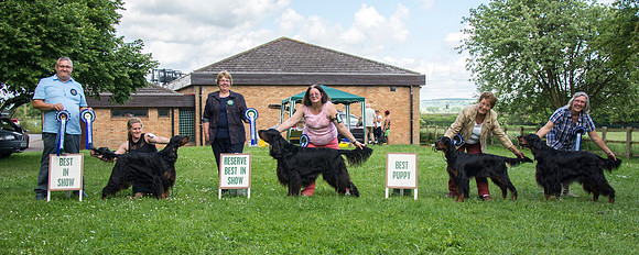 Best In Show winners