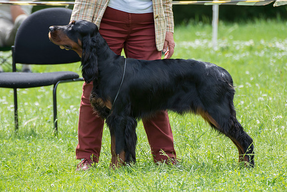 Ludstar La La Land to Liric