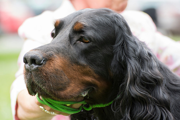 Glenkinchie Soul Drifter