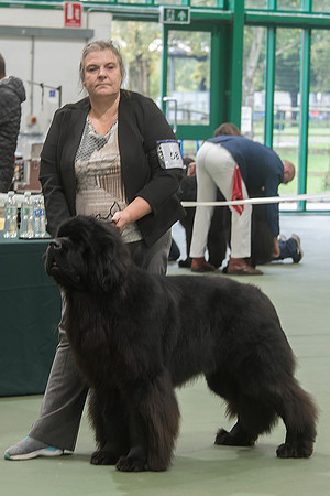Legend I Am Canadian Beardog for Lindgreave