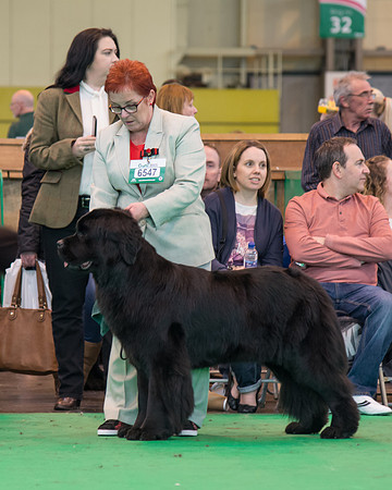 Krystalcove Denim Opals N Gold at Chrishelkate