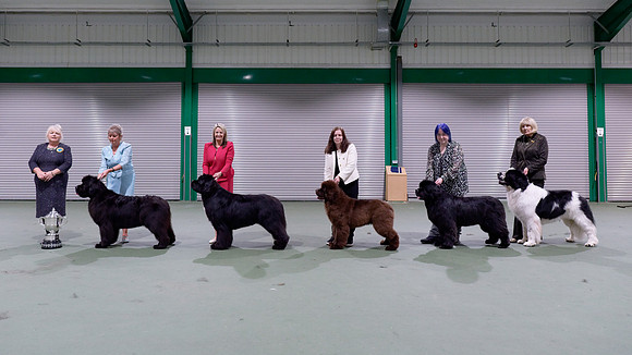 Winners line-up with judge Jan Groves