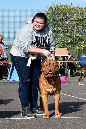Loggerheads Star Man at Bullshola