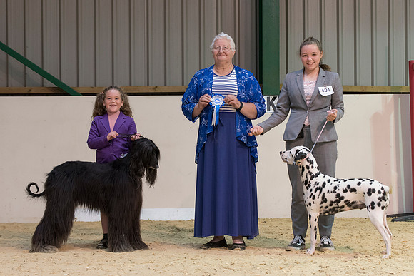 Junior Handling winners