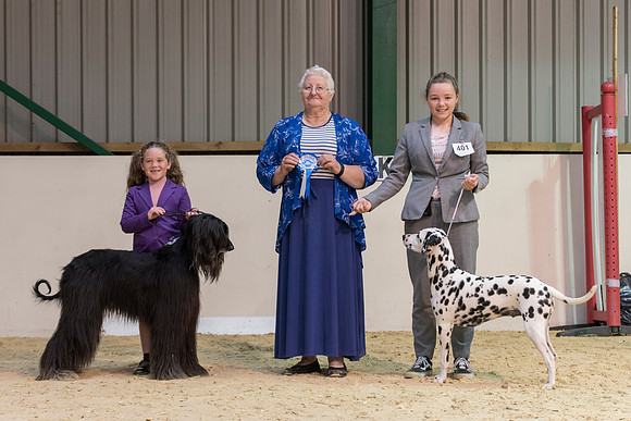 Junior Handling winners