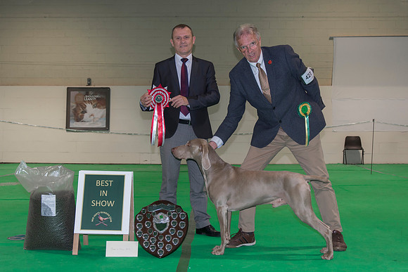 Best In Show