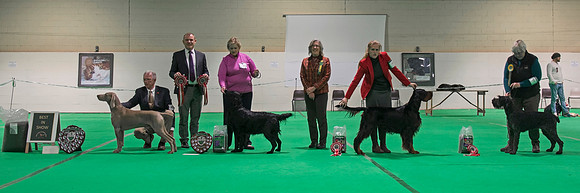 Best In Show