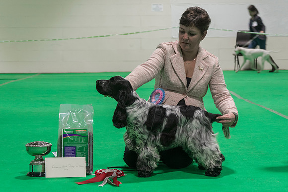 Reserve Best Puppy In Show