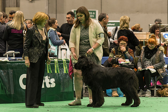 Bearisle Margret Macdonald at Titanbears