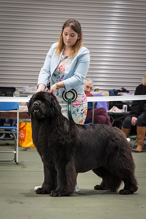 Sensitivity Bliss Nikita at Lindgreave, ShCM