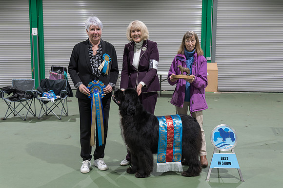 Sandbears First Class at Millthorpe