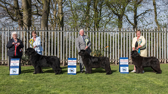 Best In Show winners