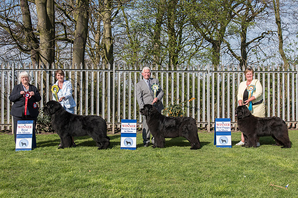 Best In Show winners