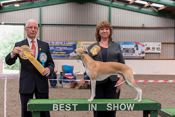 Citycroft Sundae With Oxana JW ShCM - Best In Show