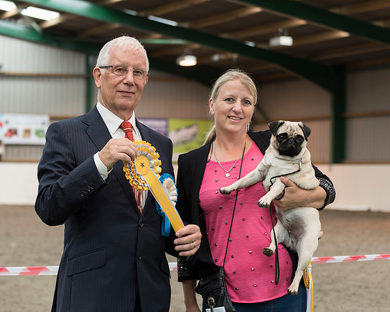 Cedilla Cherry On Top - Reserve Best In Show