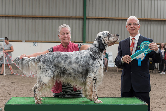 Juldeane Excalibur ShCM - Best Veteran In Show