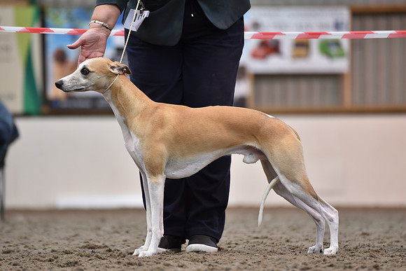 Citycroft Sundae With Oxana JW ShCM