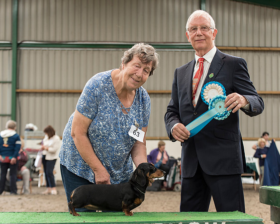 Indyvic Enchanted Onyx - Reserve Best Veteran In Show
