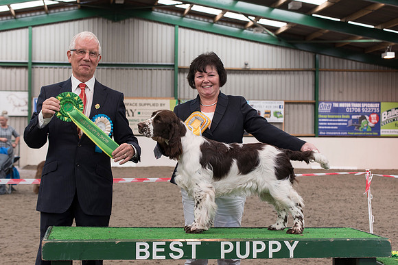 Carlyquinn Kisses Of Fire - Best Puppy In Show
