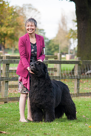 Acara Miss Brassibear of Shinglebay