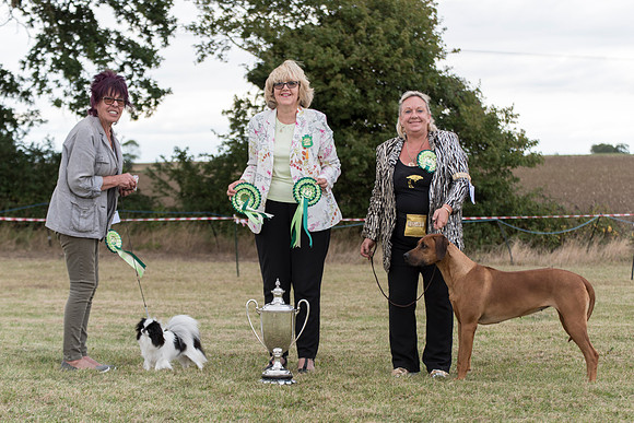Best In Show and Reserve Best In Show