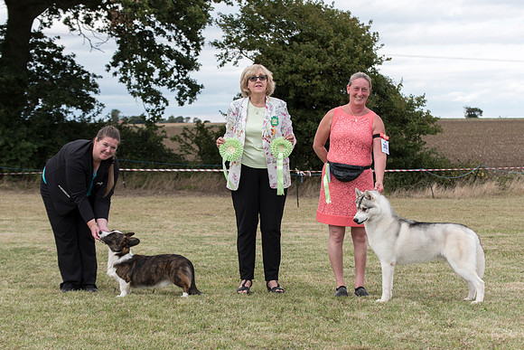 Best Puppy In Show and Reserve Best Puppy In Show