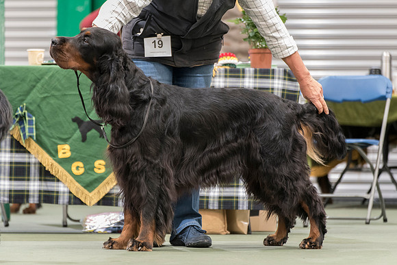 Kilnrae Hallmark, JW