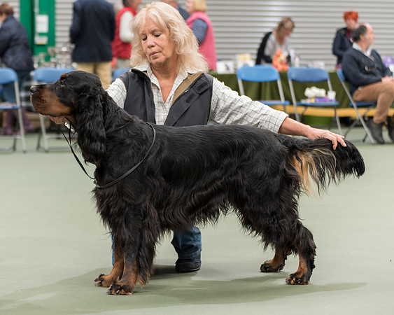 Kilnrae Hallmark, JW
