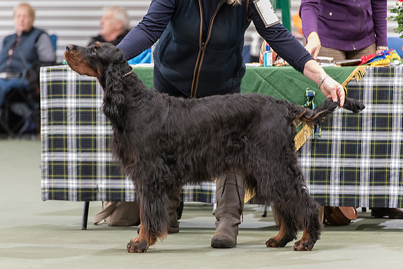 Lignum Miss Mossberg for Balnakeil