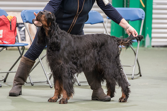 Lignum Miss Mossberg for Balnakeil
