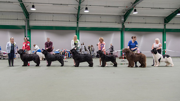 Winners line-up