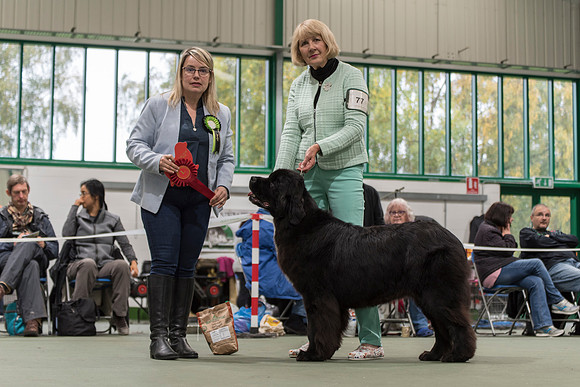 Sandbears First Class at Millthorpe