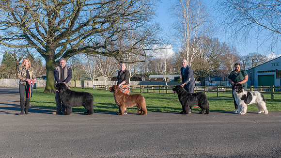 Main winners line-up