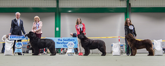 Best In Show winners
