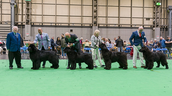 Winners line-up