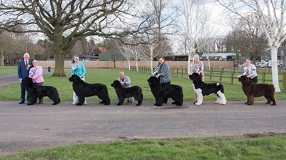 Best In Show winners