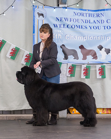 Kenamu Just The Ticket for Valleybears