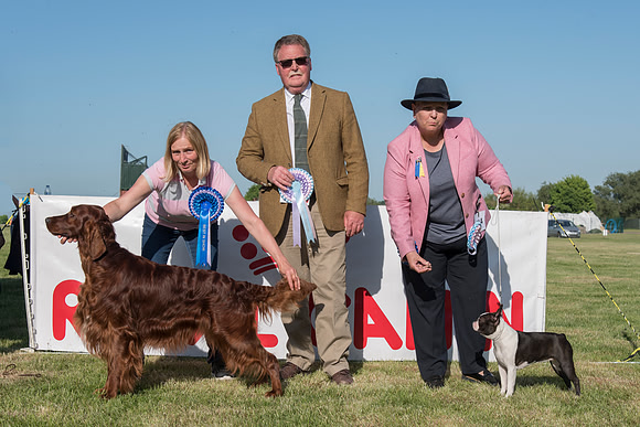Best In Show and Best Puppy In Show
