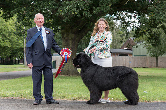 Ch. Millthorpe Mr Rochester, JW, ShCM, ShCEx, OSW