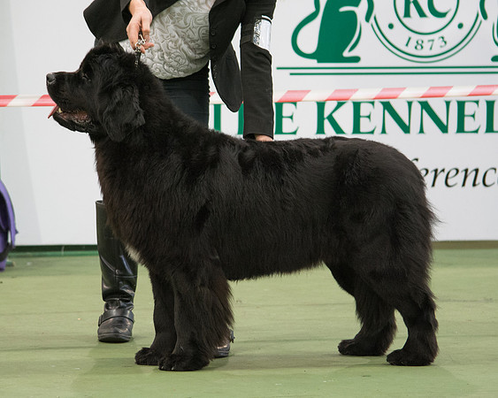 Sakaribear Sending A Kiss to Tallisbay