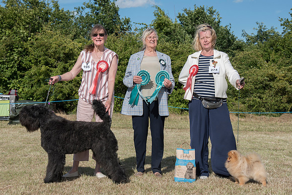 Best Puppy In Show & Reserve Best Puppy In Show