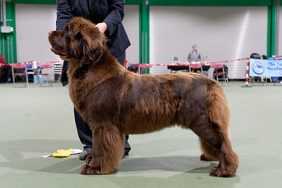 Valhalabears Just In Time