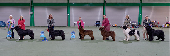 Winners line-up