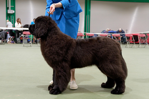 Two Rivers Wise Choice at Colnbear (Imp USA)
