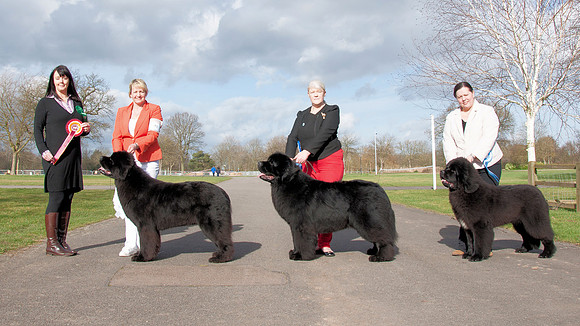 Best in Show Winners at NC Open Show 22 February 2014