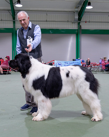 Oukaya Forever Ursa Minor (Imp Fra)