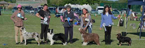 Pastoral Group Puppy Winners